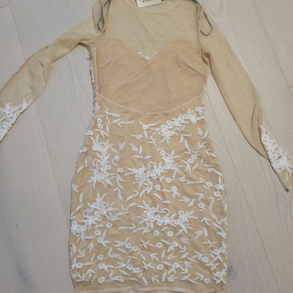 NWT Forever 21 Nude Embroidered Lace Illusion Mini Dress - Picture 4 of 6
